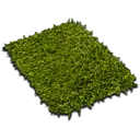 Green Grass - plant - PNG Images