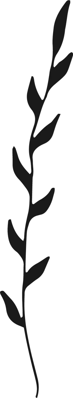 Abstract Plant Branch - abstract - Transparent Layer PNG