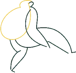 Banana - simple pattern - Free Download PNG