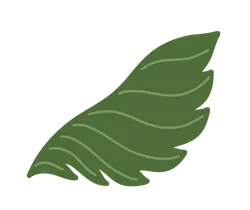Leaf - leaf - shape - High Resolution PNG