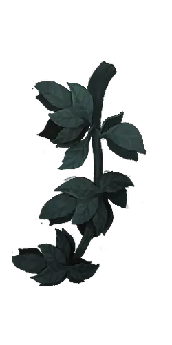 Green Plant Branch - nature - branch - PNG Images