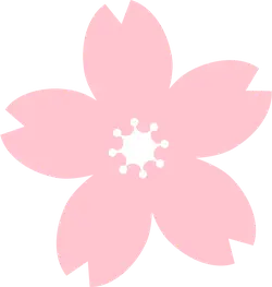 Cherry Blossom - Designer's Pick PNG - Highly Rated PNG