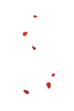 Red Petals - petal - Lossless PNG