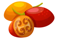 Tomato - fruit - small tomato - PNG Images