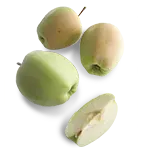 Apple - fresh - Designer Recommended PNG