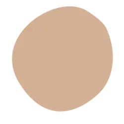 Light Brown Circle - shape - Transparent Layer PNG