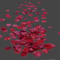 Rose Petals - love - Highly Rated PNG