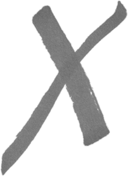 Black Owl - bird - Designer's Pick PNG - Pic 6