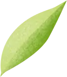 Leaf - Free PNG - Designer's Pick PNG