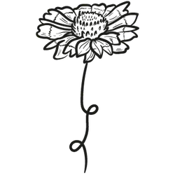 Black Line Flower - line drawing - No Watermark PNG