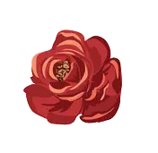Rose - High Quality PNG - Fast Download PNG