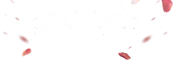 Petals Falling - night - Transparent Layer PNG