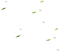 Green Light Spots - green - abstract - Transparent Layer PNG
