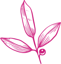 Clover - growth - Curated PNG