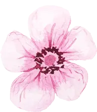 Peach Blossom - Free PNG - Curated PNG