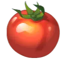 Tomato - circle - shiny - High Resolution PNG