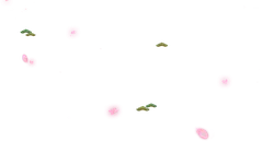 Pink Petals and Green Leaves - spring - No Watermark PNG