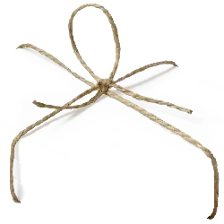 Gift Box - rope - Free Download PNG