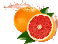 Grapefruit - sweet - fruit - Free PNG