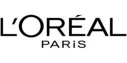Black Owl - Fast Download PNG - Transparent Background PNG