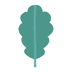 Oak Leaf - nature - ecology - PNG Images