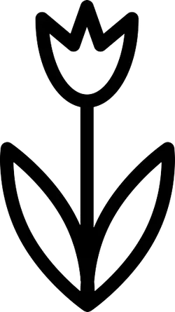 Tulip - Trending PNG
