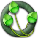 Clover - life - Transparent Layer PNG