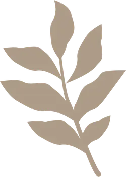 Brown Leaf - Free Download PNG