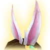 Pink Rabbit Ears - rabbit - No Background PNG