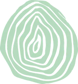 Concentric Circles Pattern - green - minimalism - No Background PNG