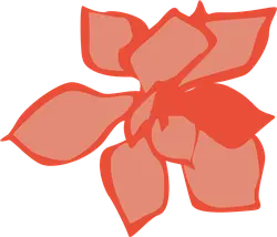 Abstract Flower - shape - abstract - PNG Images