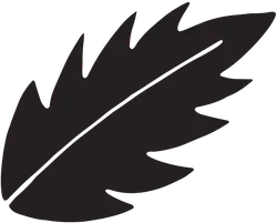 Feather - symbol - Transparent Layer PNG