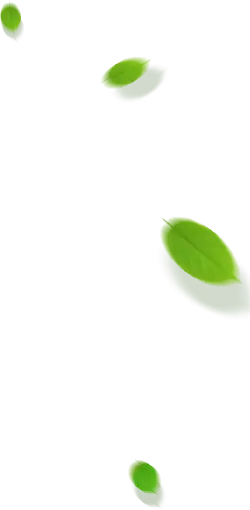 Leaves Falling - nature - Recommended PNG