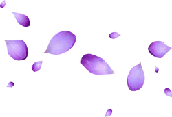 Purple Petals - nature - Lossless PNG
