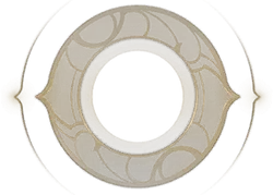Gold Ring - minimalist design - No Background PNG