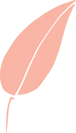 Leaf - Free for Commercial Use PNG - No Background PNG