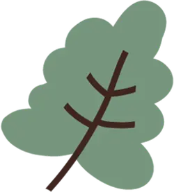 Leaf - green - Lossless PNG