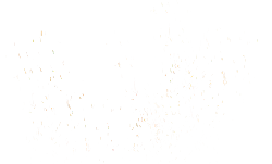 Stars in the Night Sky - night - Curated PNG