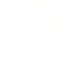 White Rabbit - jumping - Transparent Layer PNG