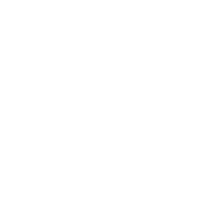Quadrifoliate Pattern - symmetrical - No Watermark PNG