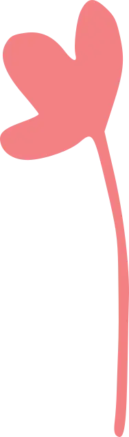Pink Flower - line - No Watermark PNG
