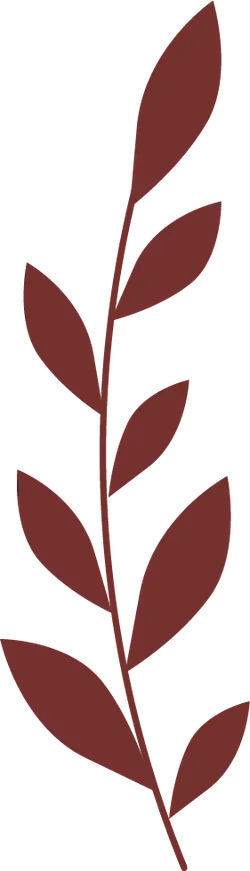 Brown Leaves - leaves - High Resolution PNG