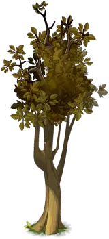 Autumn Tree - High Download Count PNG