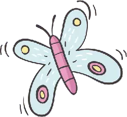 Colored Butterfly - Transparent Background PNG