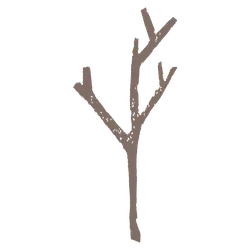 Branch - background - Free Download PNG