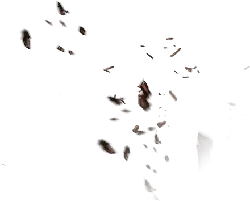 Butterflies in the Dark - nature - Free PNG