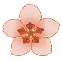 Cherry Blossom - spring - Fast Download PNG