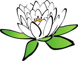 Black Rose - rose - black - PNG Images