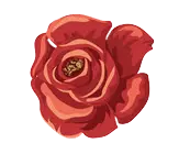 Rose - romantic - Transparent Background PNG