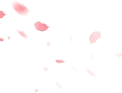 Pink Petals Falling - Recommended PNG - pink